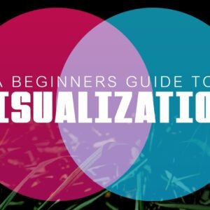 Visualization Guide