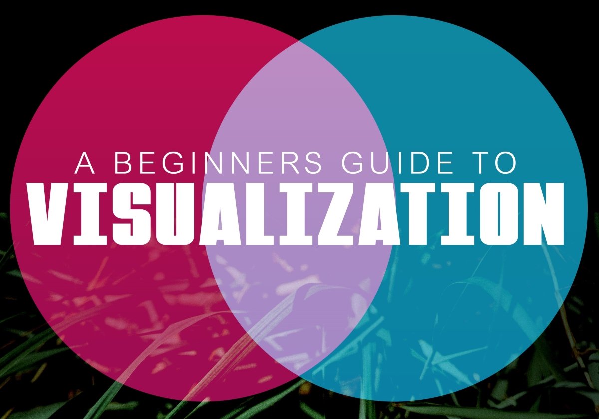 A Beginner’s Guide to Visualization